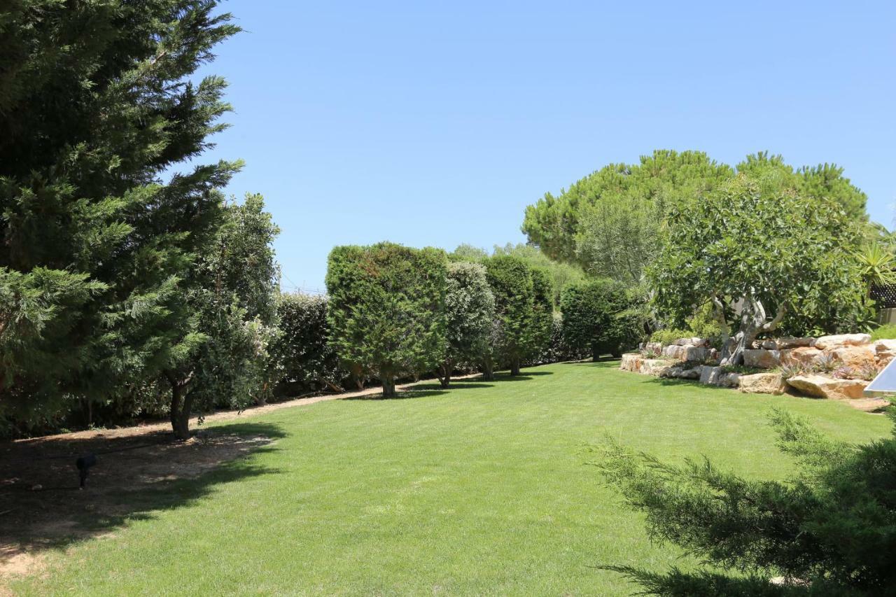 Quinta Do Pinheiro Manso - Holidays Villa - Marinha Beach Carvoeiro  Exterior foto