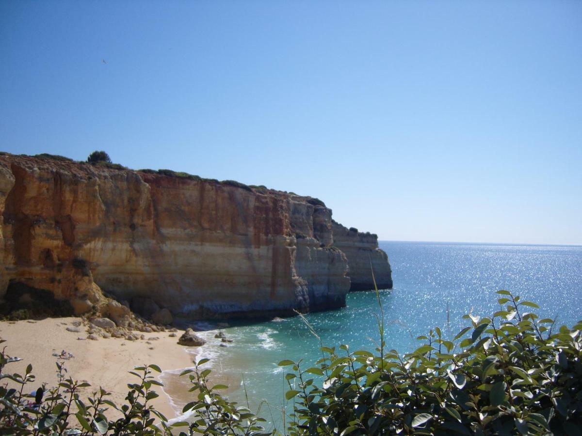 Quinta Do Pinheiro Manso - Holidays Villa - Marinha Beach Carvoeiro  Exterior foto