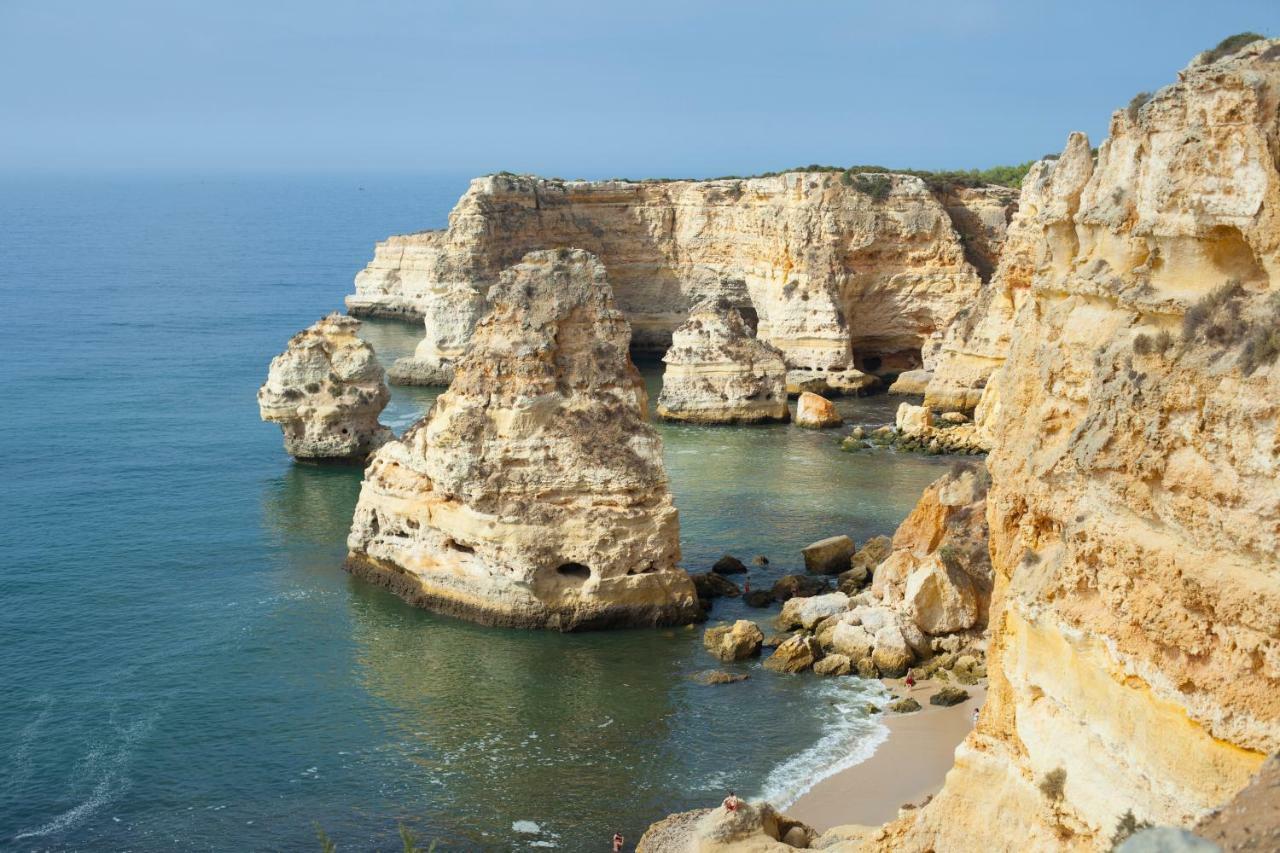 Quinta Do Pinheiro Manso - Holidays Villa - Marinha Beach Carvoeiro  Exterior foto