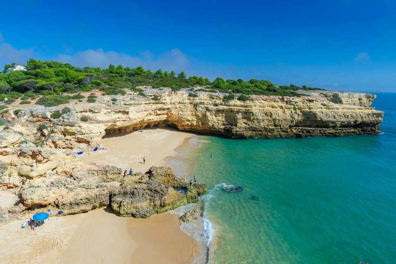 Quinta Do Pinheiro Manso - Holidays Villa - Marinha Beach Carvoeiro  Exterior foto